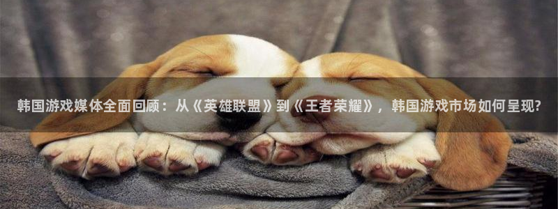 长征娱乐注册登录：韩国游戏媒体全面回顾：从《英雄联盟》到《王
