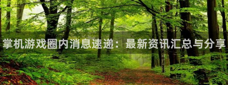 长征娱乐游戏：掌机游戏圈内消息速递：最新资讯汇总与分享