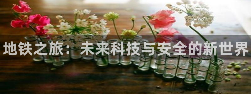 长征娱乐注册服务条款：地铁之旅：未来科技与安全的新世界