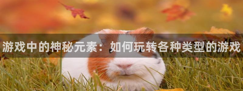 长征娱乐平台登录线路：游戏中的神秘元素：如何玩转各种类型的游