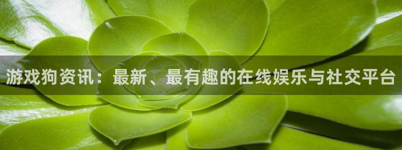 长征娱乐平台登录：游戏狗资讯：最新、最有趣的在线娱乐与社交平