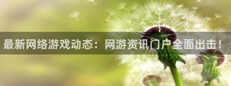 长征娱乐注册账号：最新网络游戏动态：网游资讯门户全面出击！