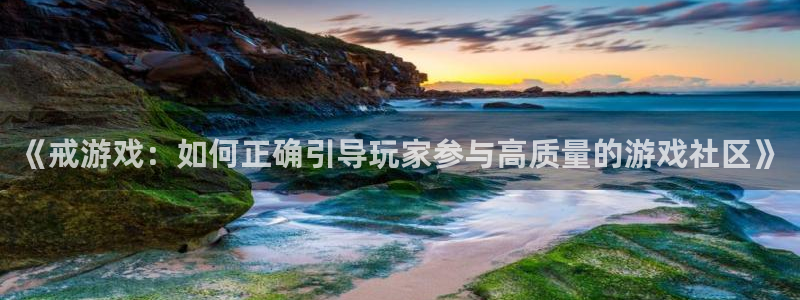 长征娱乐平台官方网站：《戒游戏：如何正确引导玩家参与高质量的