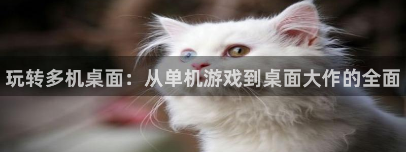 长征娱乐注册账号：玩转多机桌面：从单机游戏到桌面大作的全面