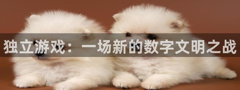 长征娱乐平台登录：独立游戏：一场新的数字文明之战
