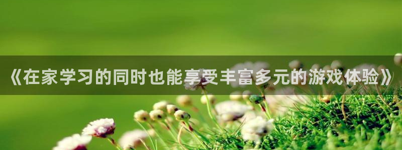 长征娱乐登录：《在家学习的同时也能享受丰富多元的游戏体验》