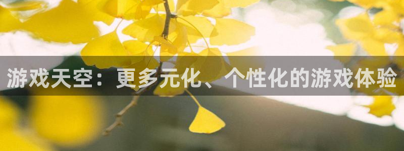 长征娱乐登录地址：游戏天空：更多元化、个性化的游戏体验